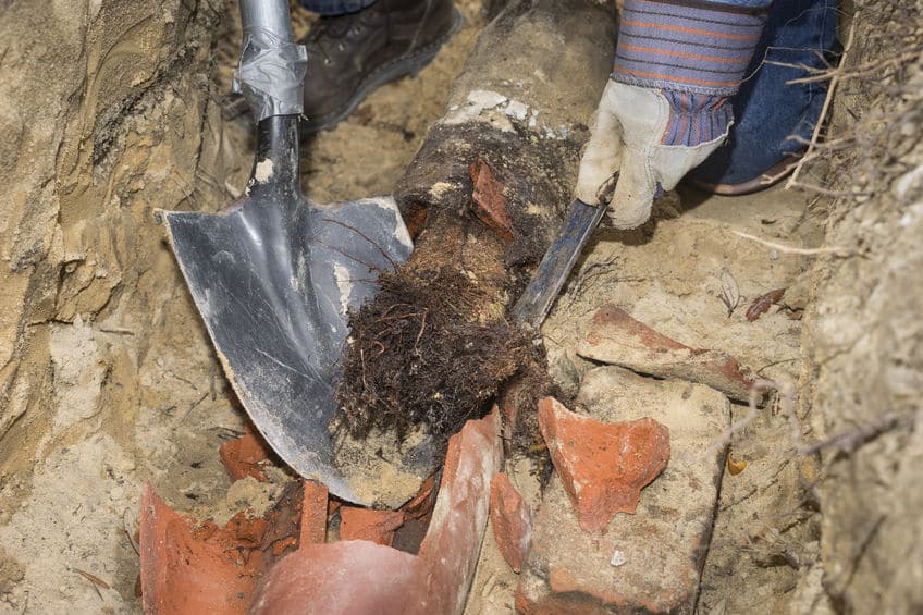 Tree Root Removal from a broken sewer pipe